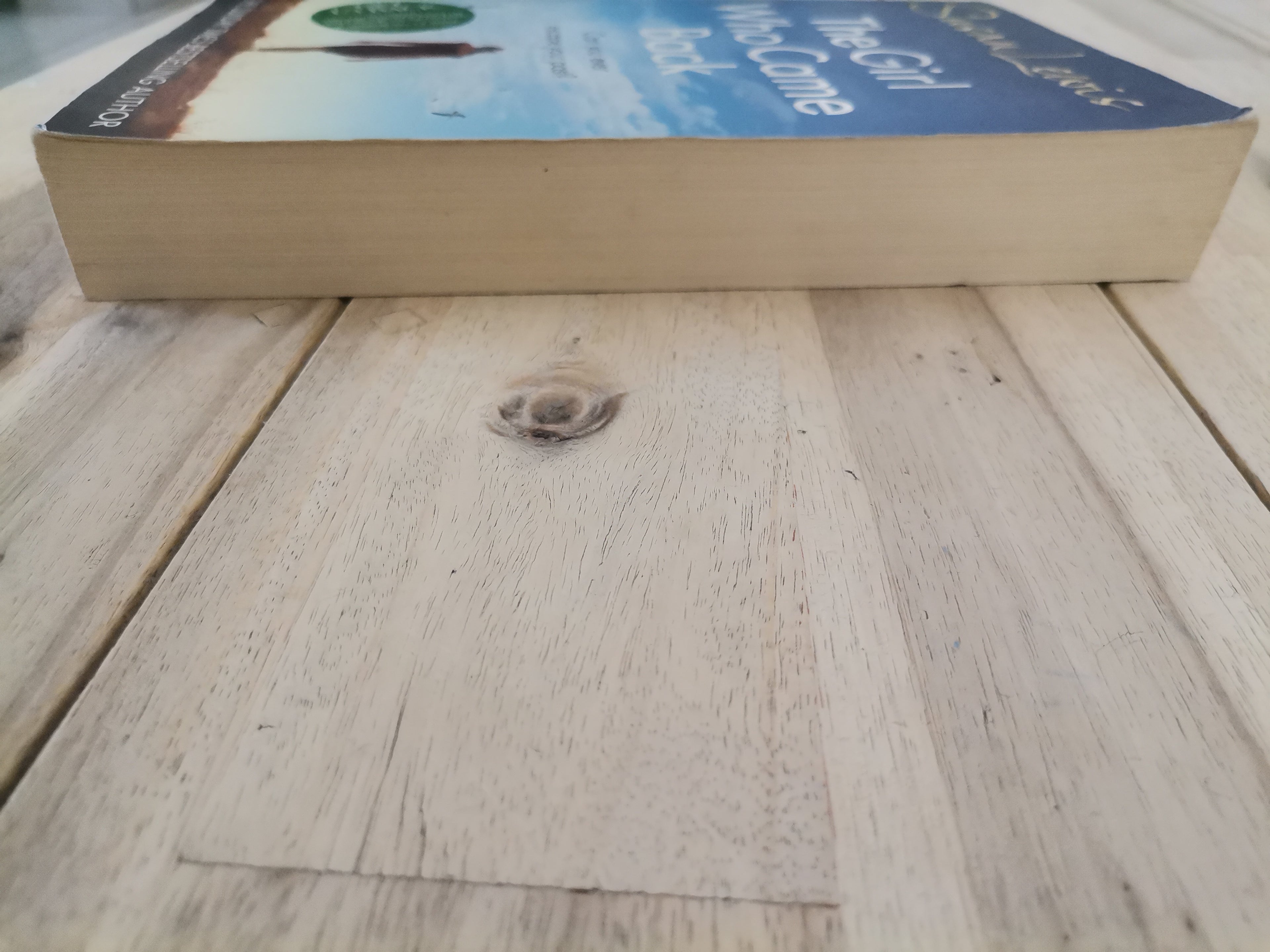 The Girl Who Came Back by Susan Lewis