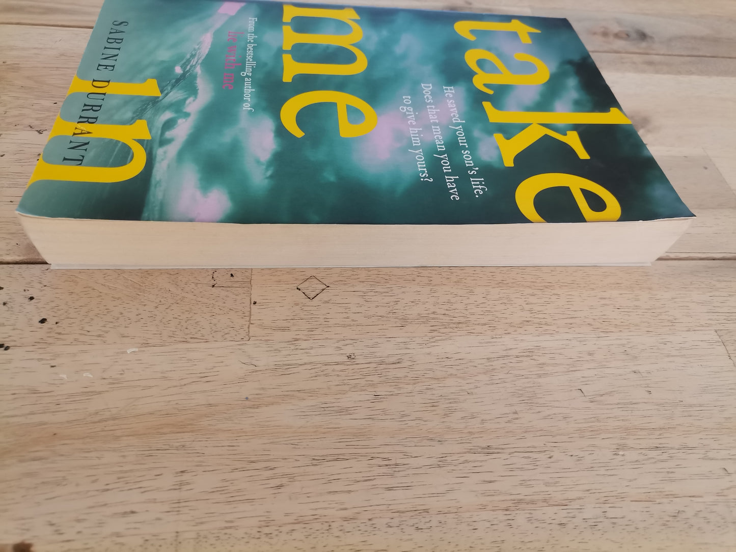 Take Me In by Sabine Durrant