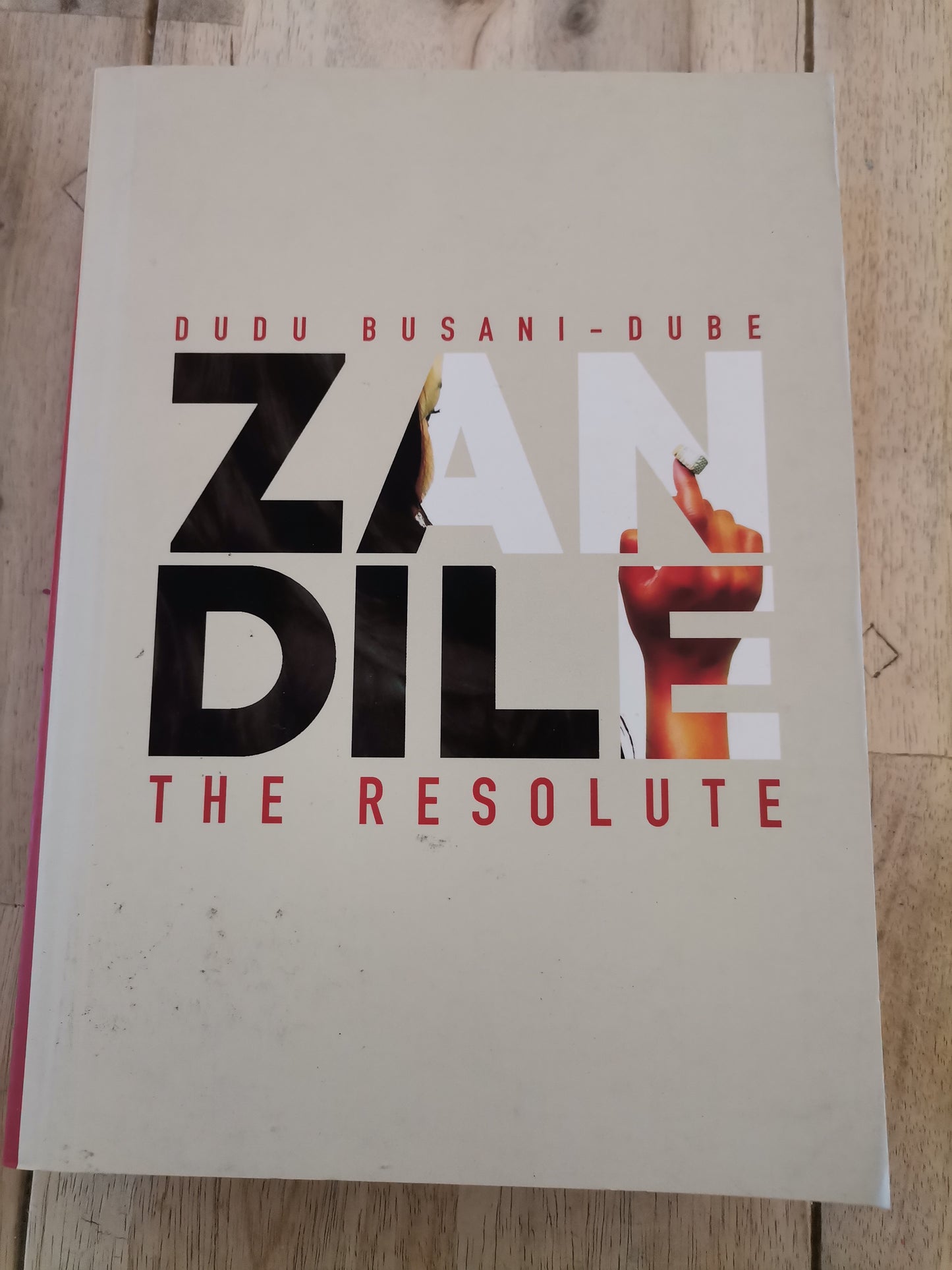 Zandile The Resolute by Dudu Busani-Dube
