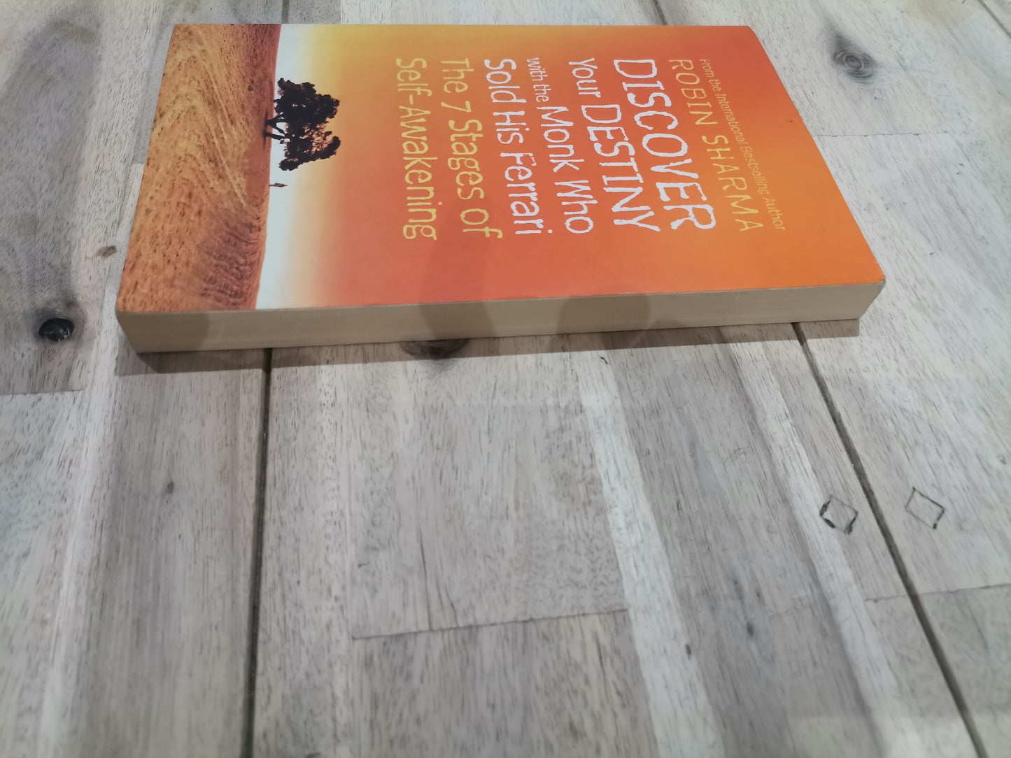 Discover Your Destiny with The Monk Who Sold His Ferrari by Robin Sharma