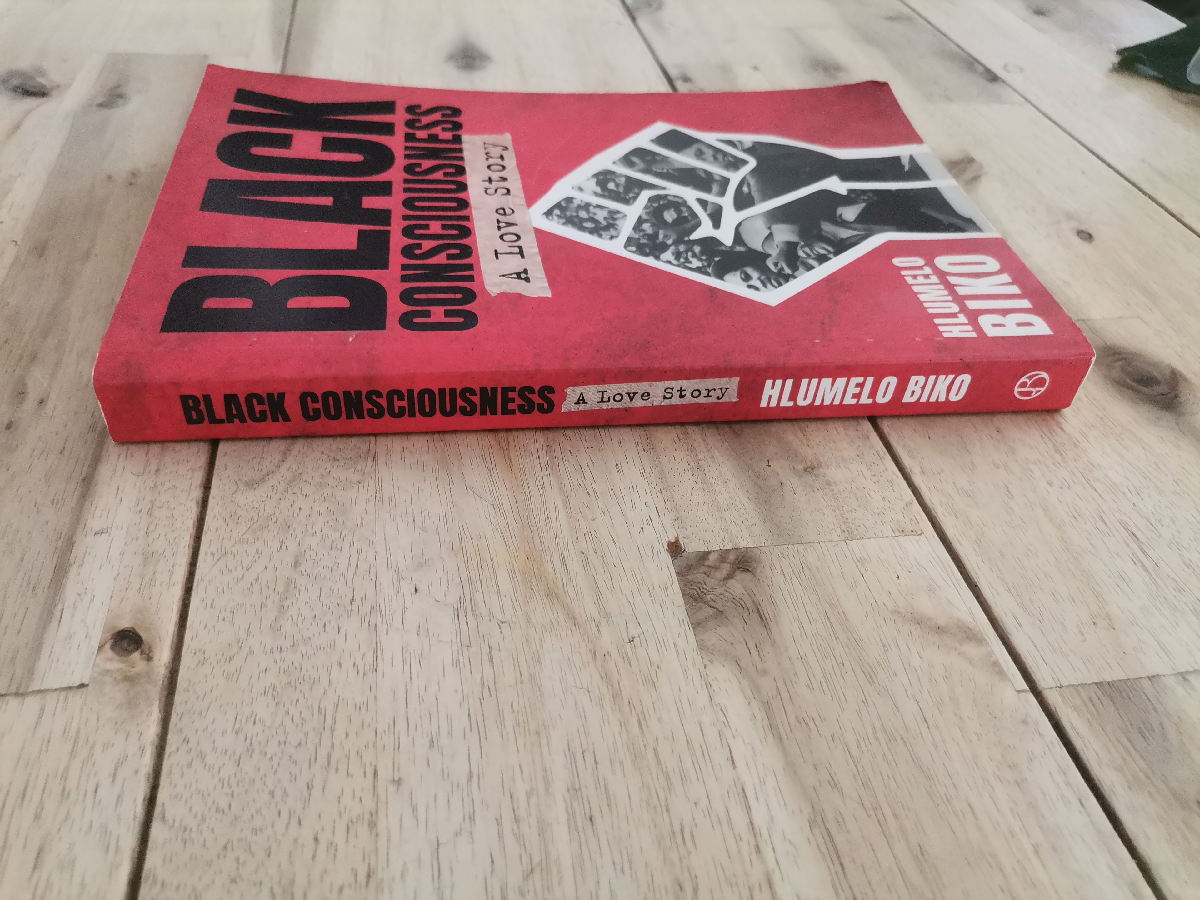 Black Consciousness: A Love Story – Hlumelo Biko