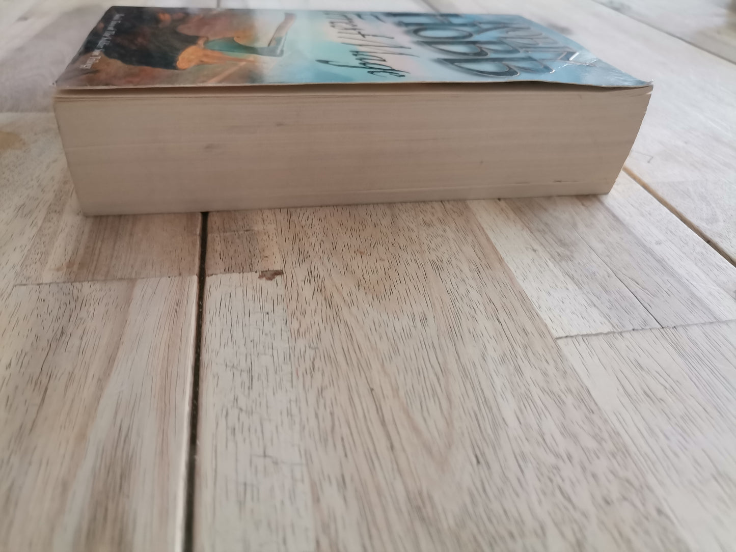 Forest Mage by Robin Hobb