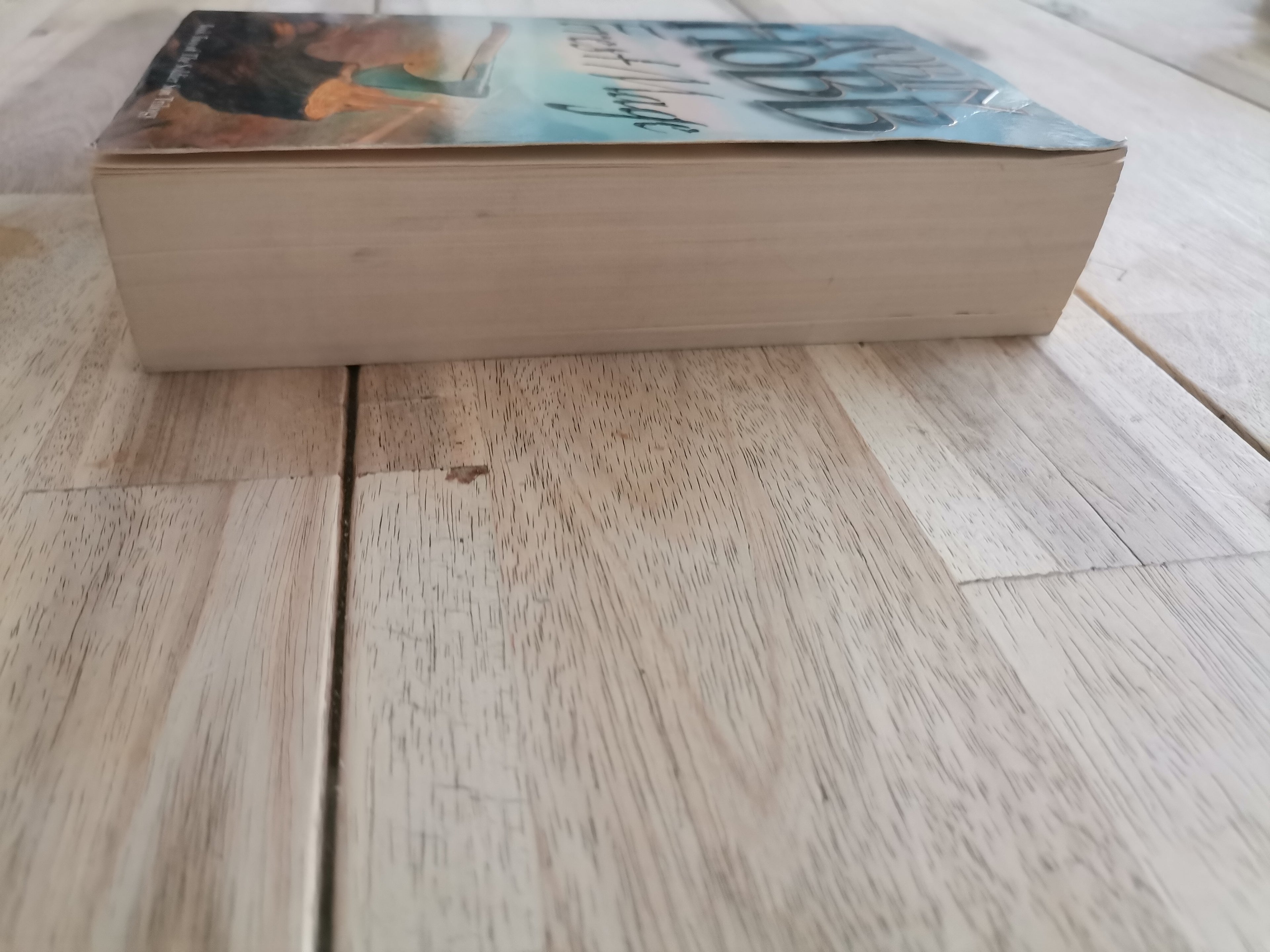 Forest Mage by Robin Hobb