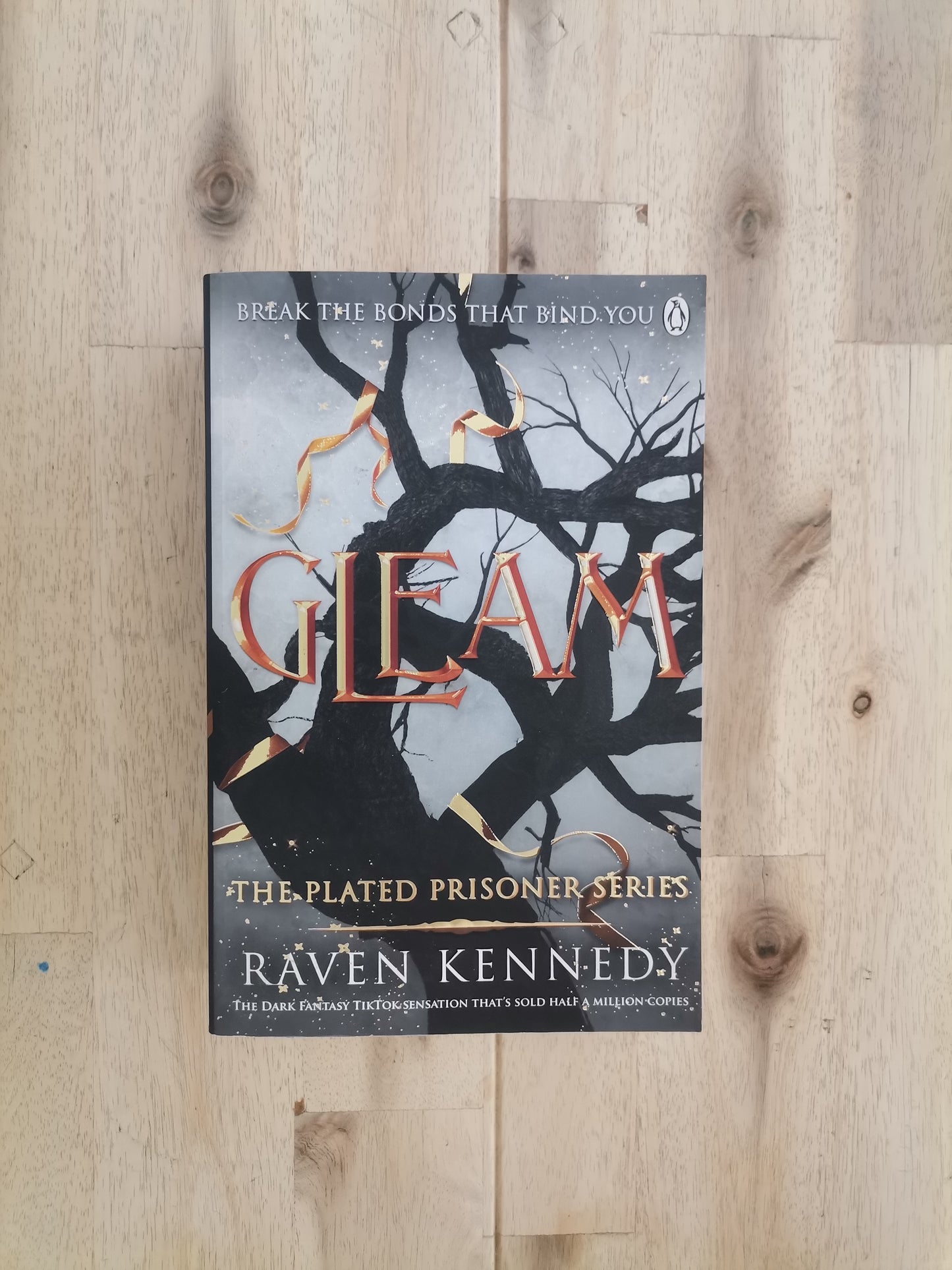 Gleam – Raven Kennedy