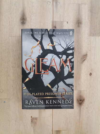 Gleam – Raven Kennedy