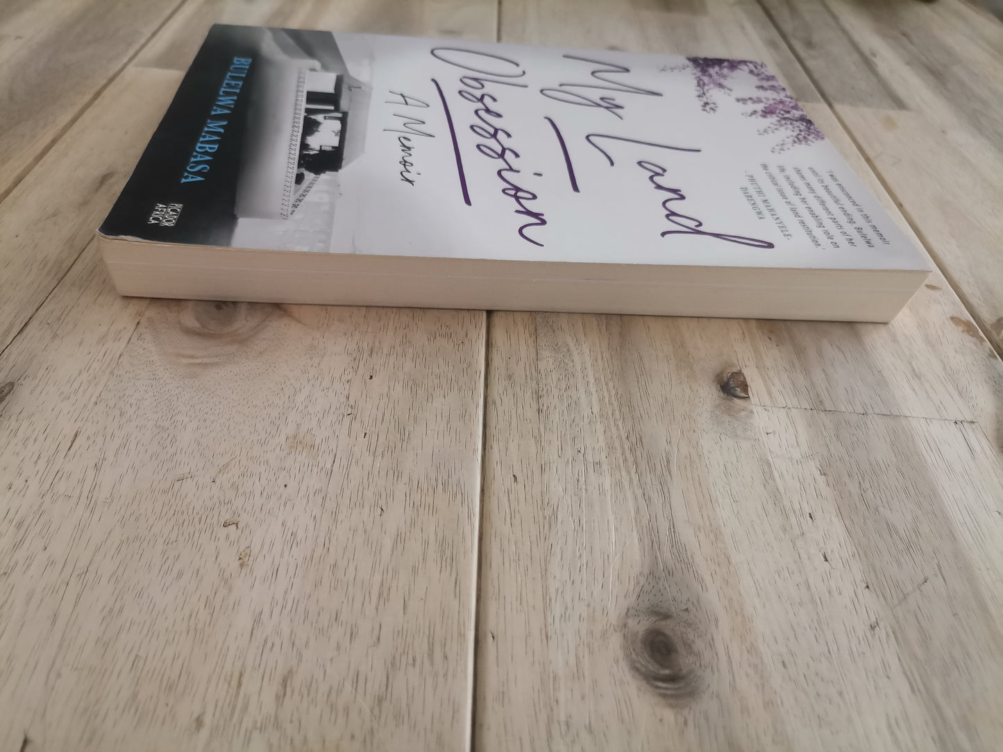 My Land Obsession by Bulelwa Mabasa