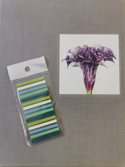 Mint Coast Mini Sticky Tabs