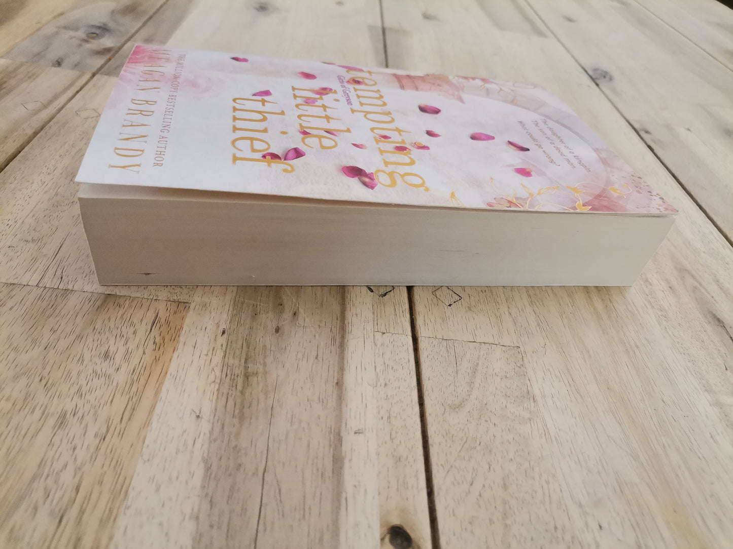Tempting Little Thief – Meagan Brandy