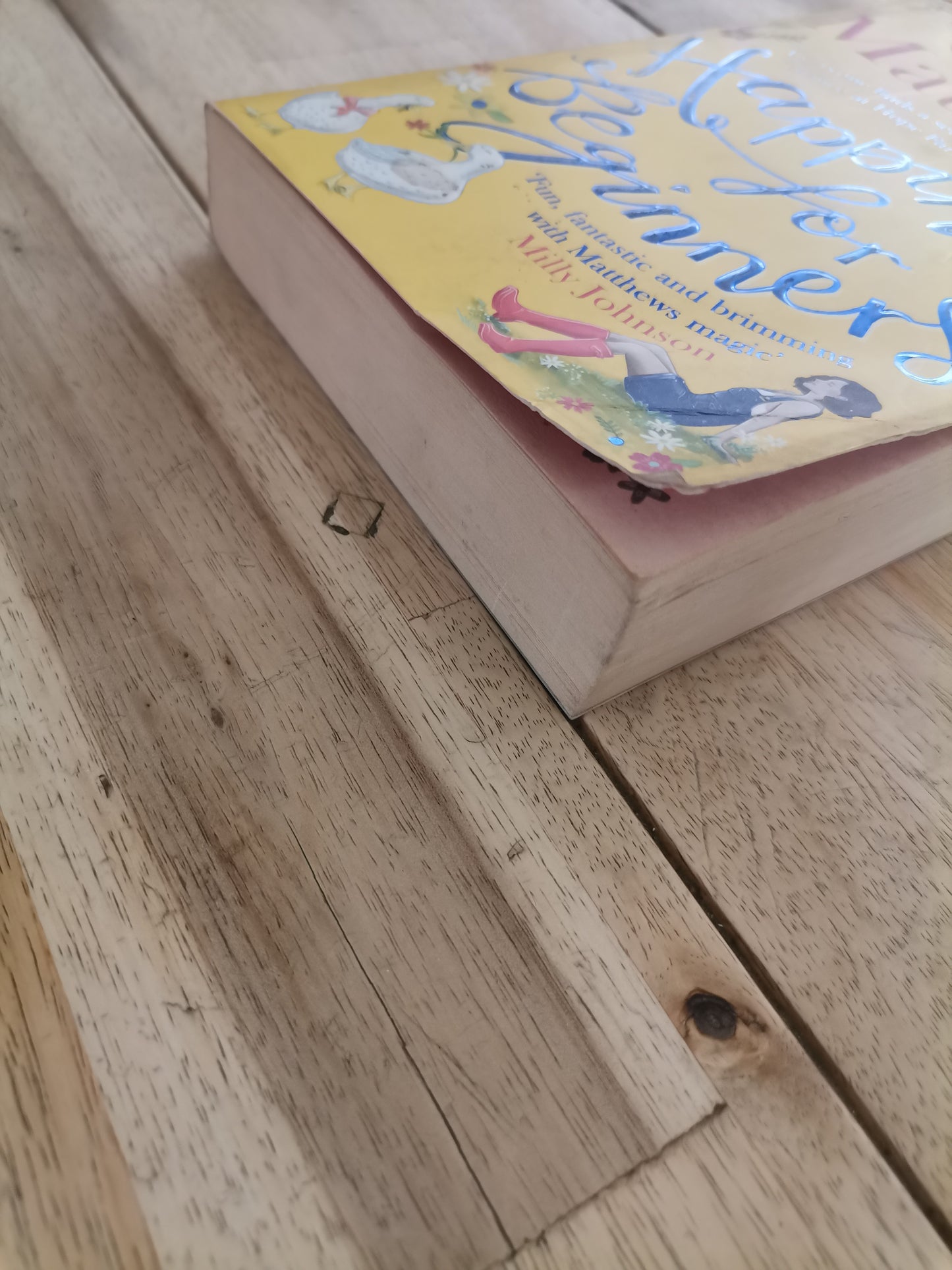 Happiness for Beginners – Carole Matthews