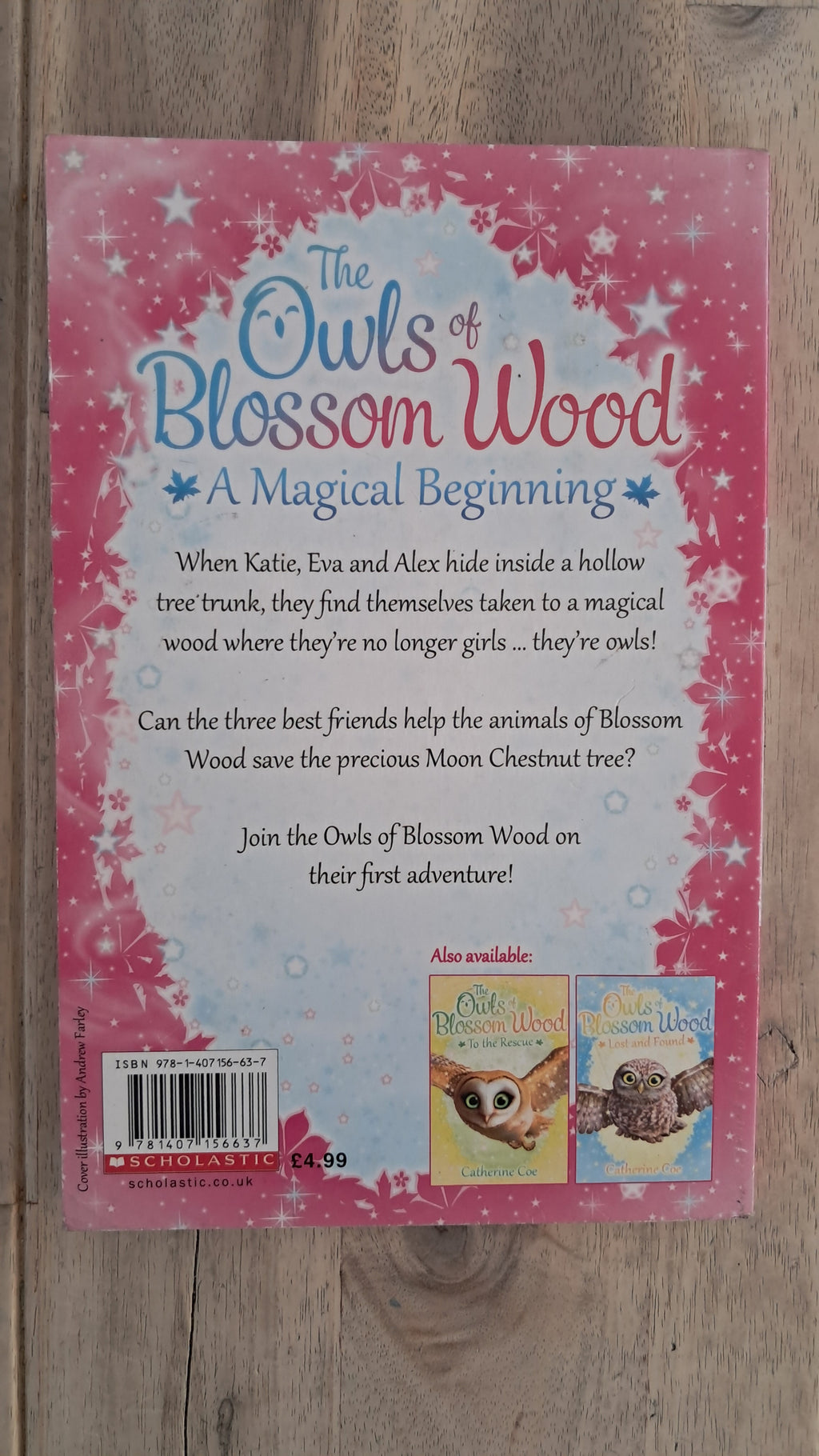 The Owls of Blossom Wood: A Magical Beginning – Catherine Coe
