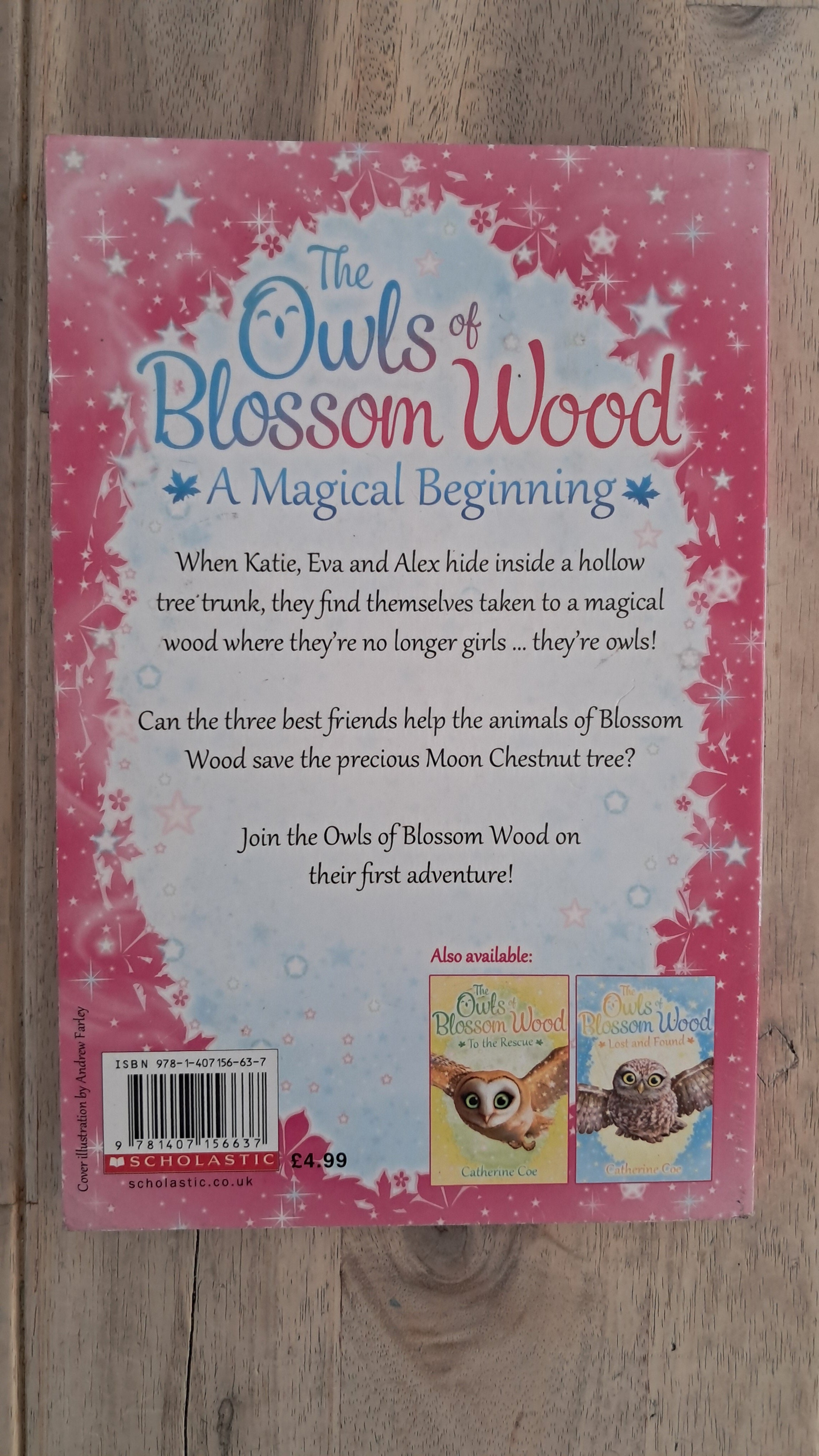 The Owls of Blossom Wood: A Magical Beginning – Catherine Coe