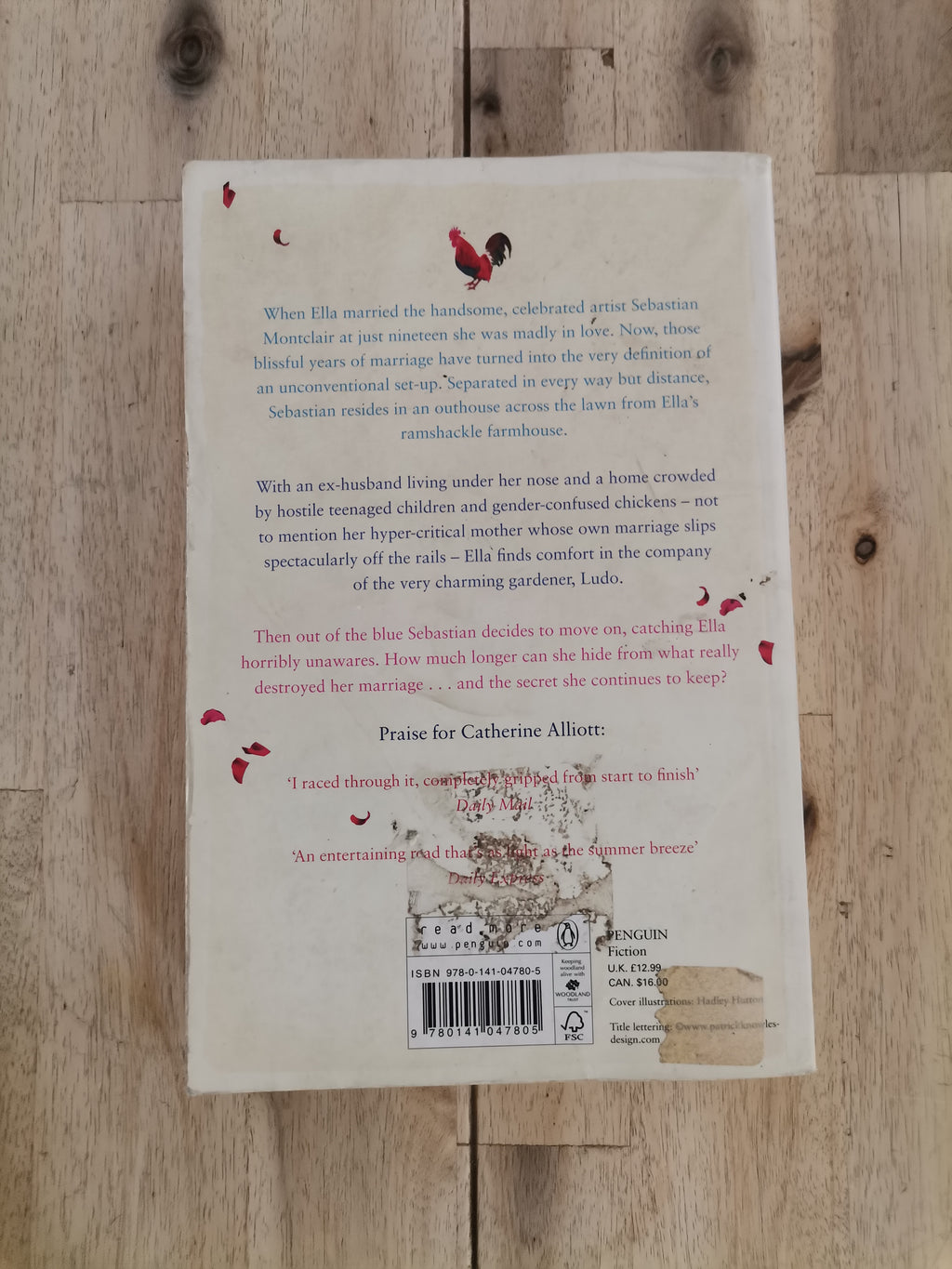 My Husband Next Door – Catherine Alliott