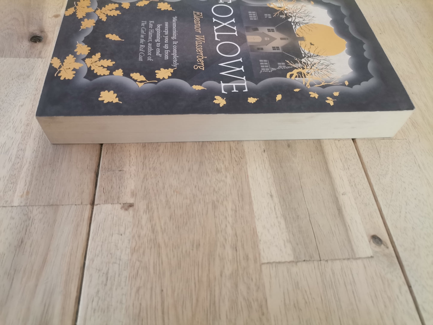 Foxlowe by Eleanor Wasserberg