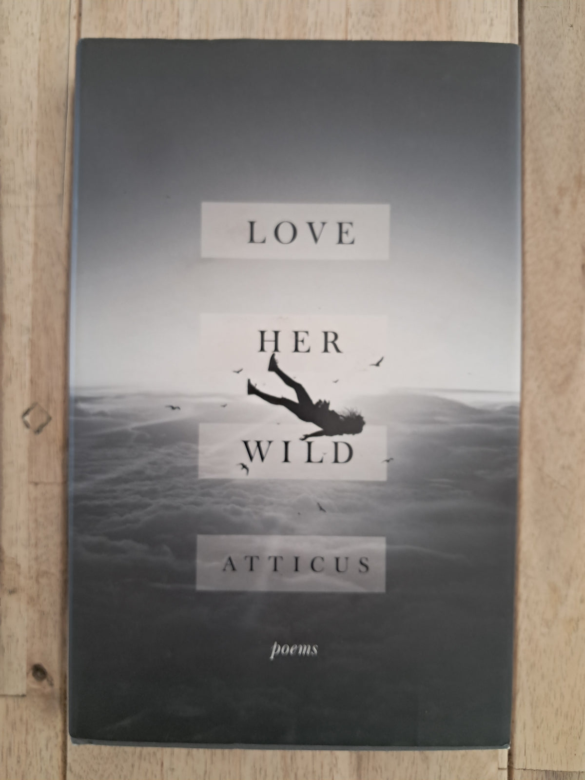 Love Her Wild – Atticus