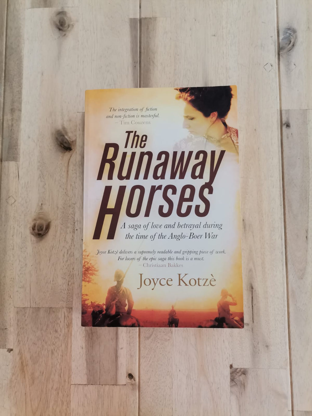 The Runaway Horses – Joyce Kotze