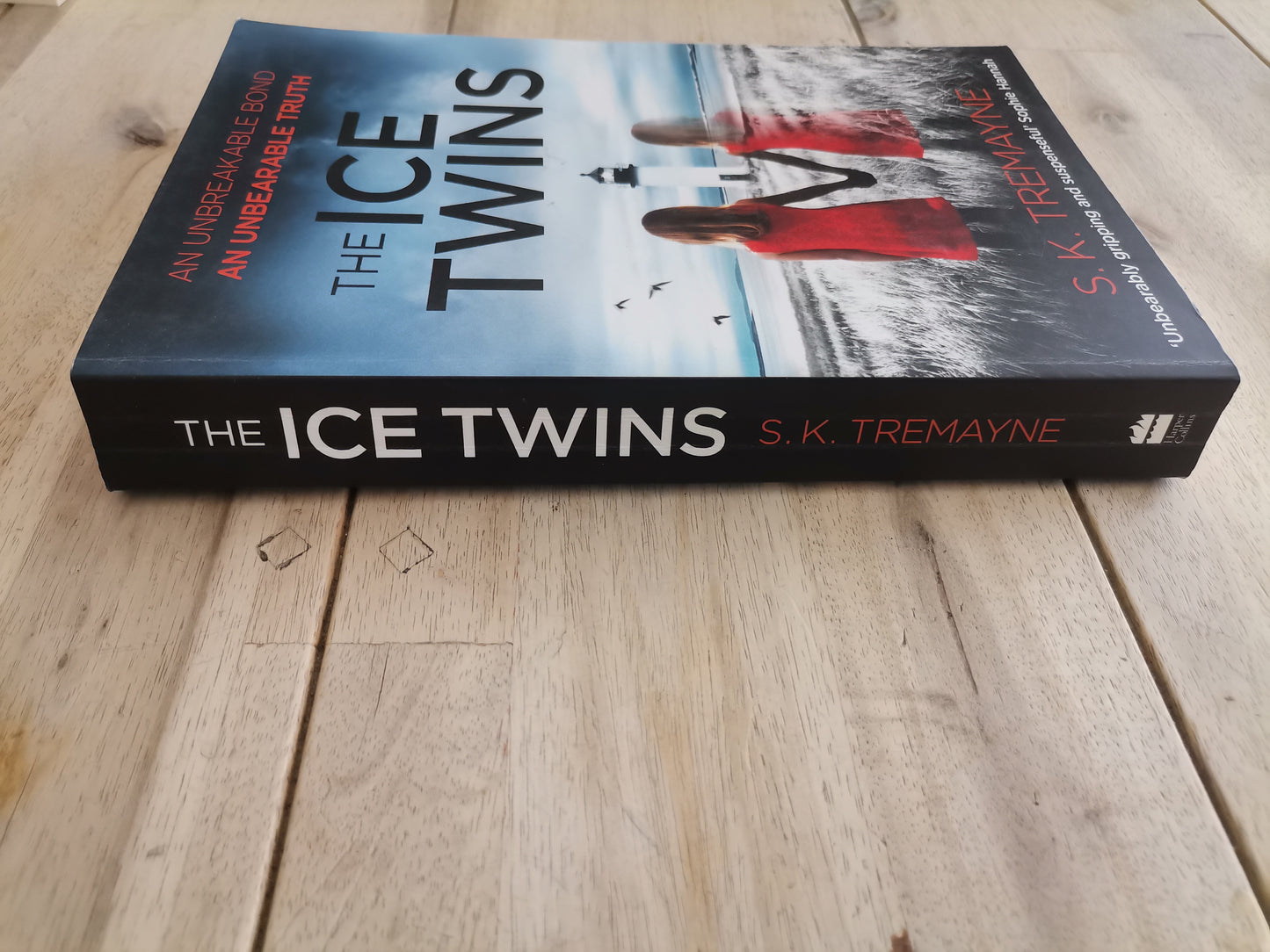 The Ice Twins by S.K. Tremayne