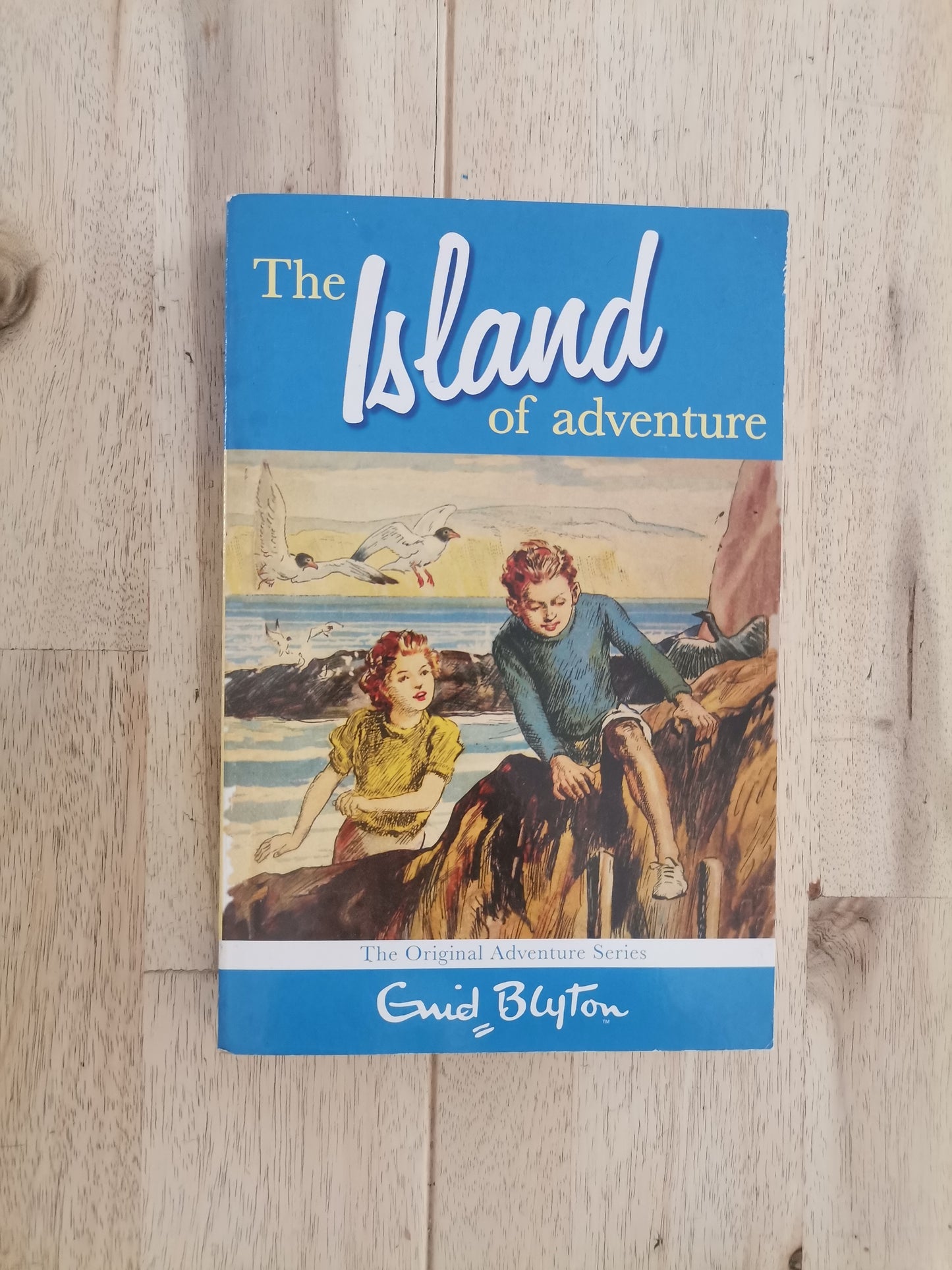 The Island of Adventure (Adventure Series #1) – Enid Blyton