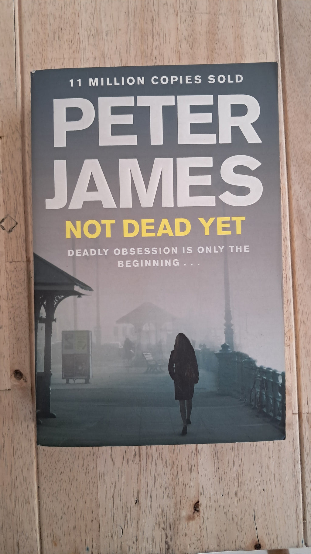 Not Dead Yet – Peter James
