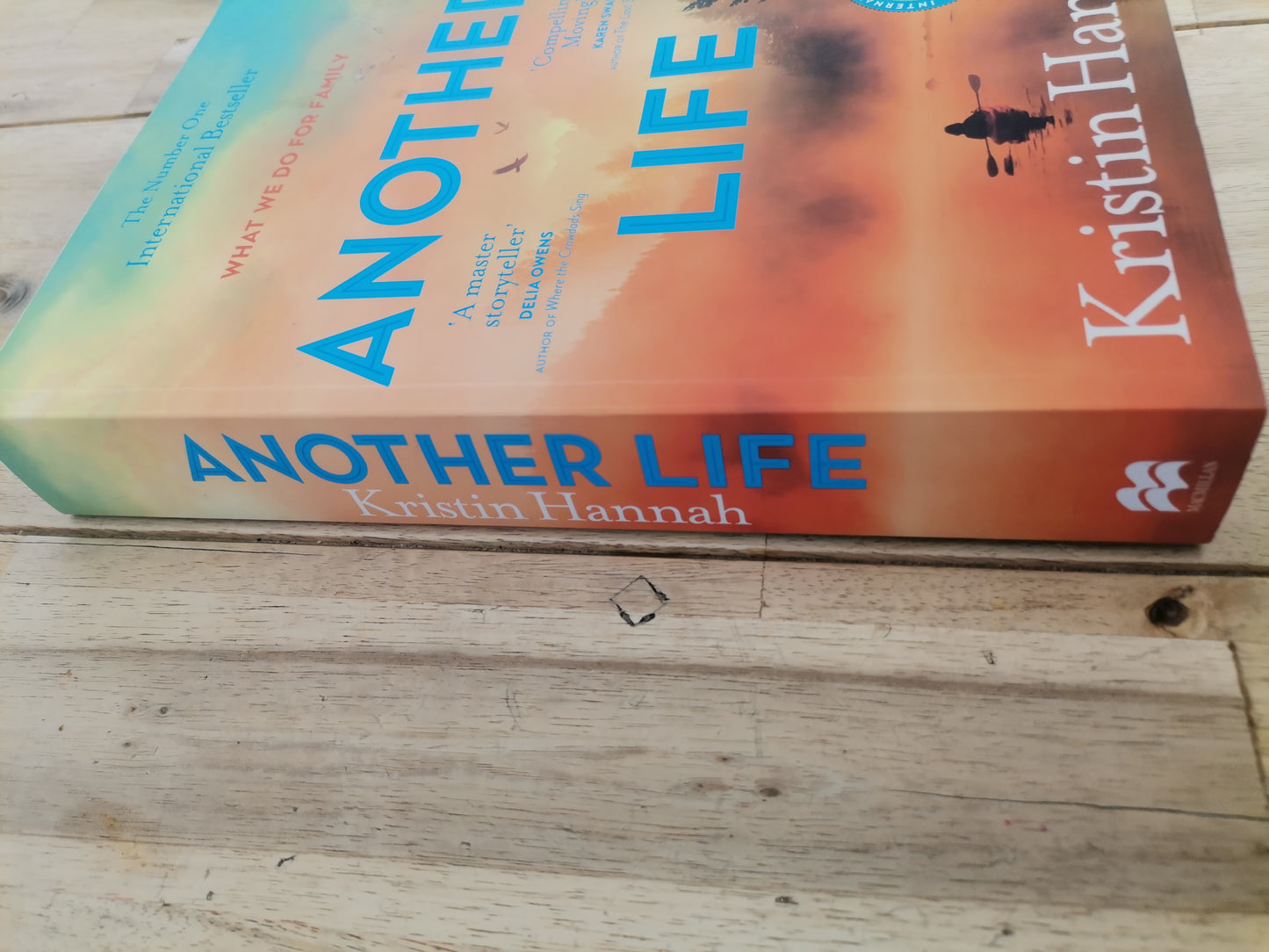 Another Life Kristin Hannah