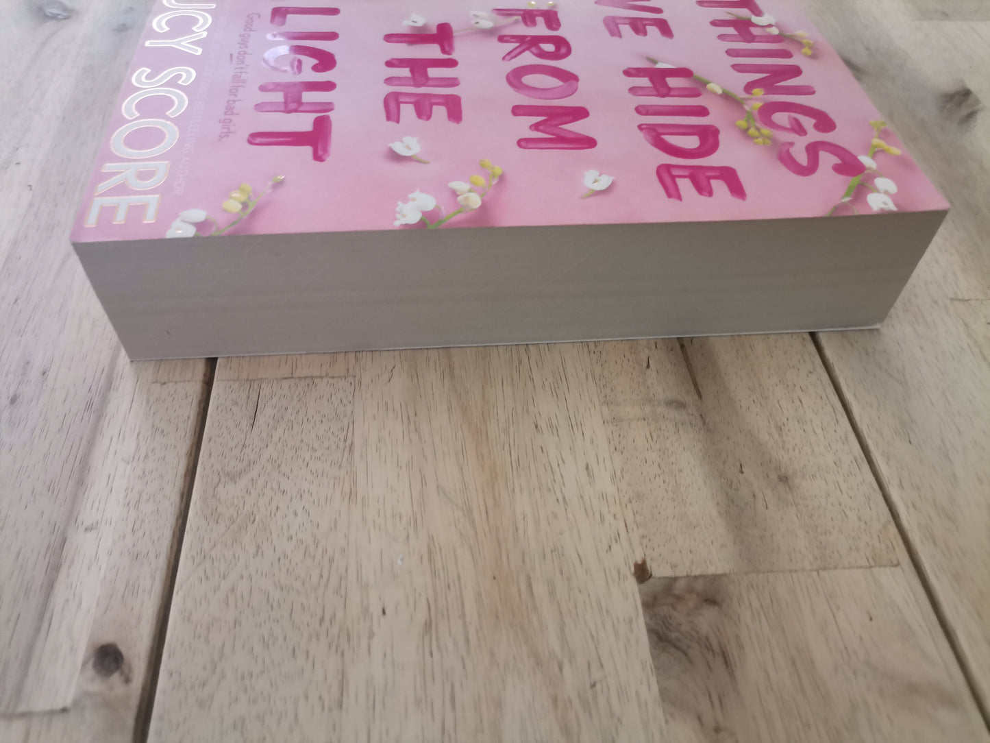 Things We Hide From The Light by Lucy Score