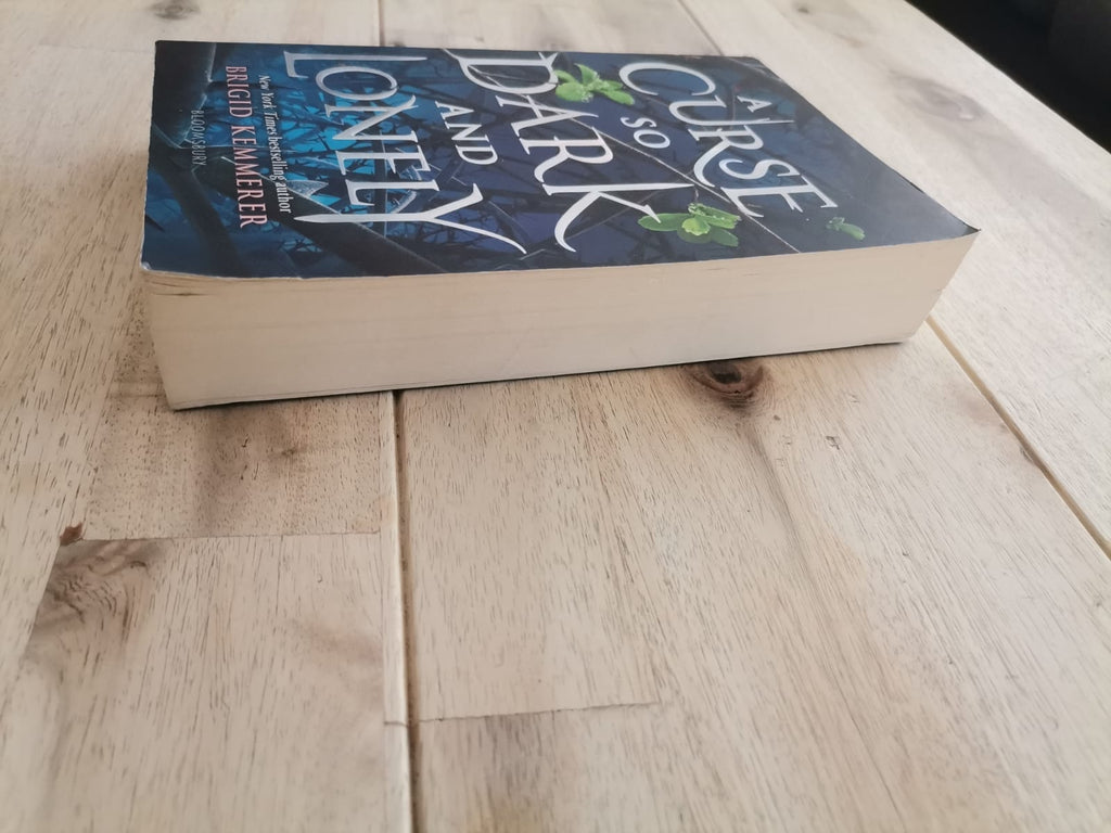 A Curse So Dark and Lonely – Brigid Kemmerer