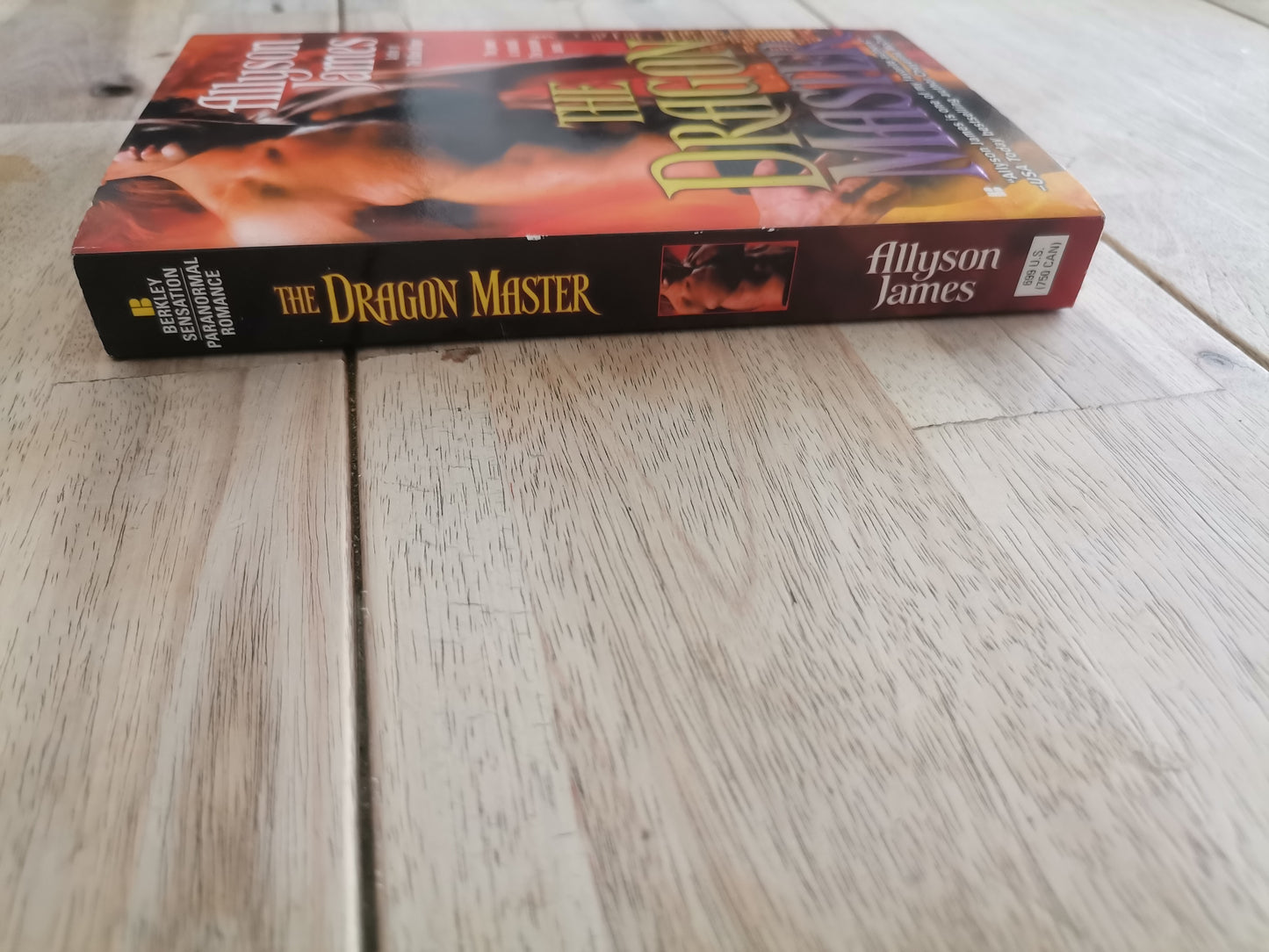 The Dragon Master by Allyson James