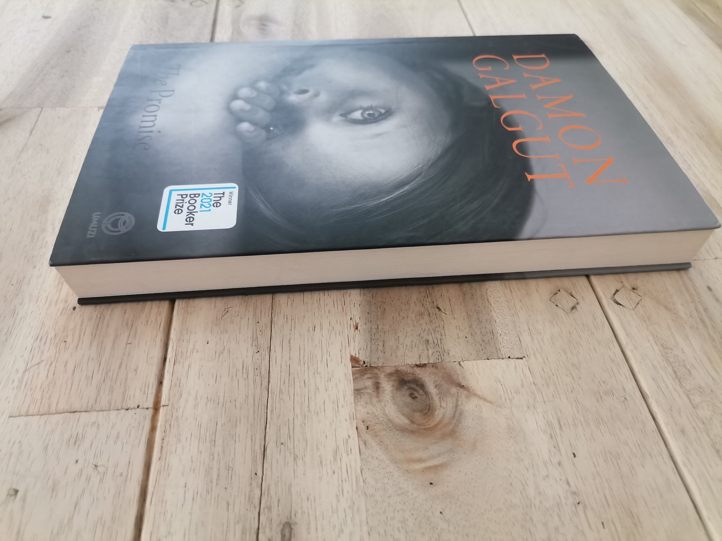 The Promise – Damon Galgut