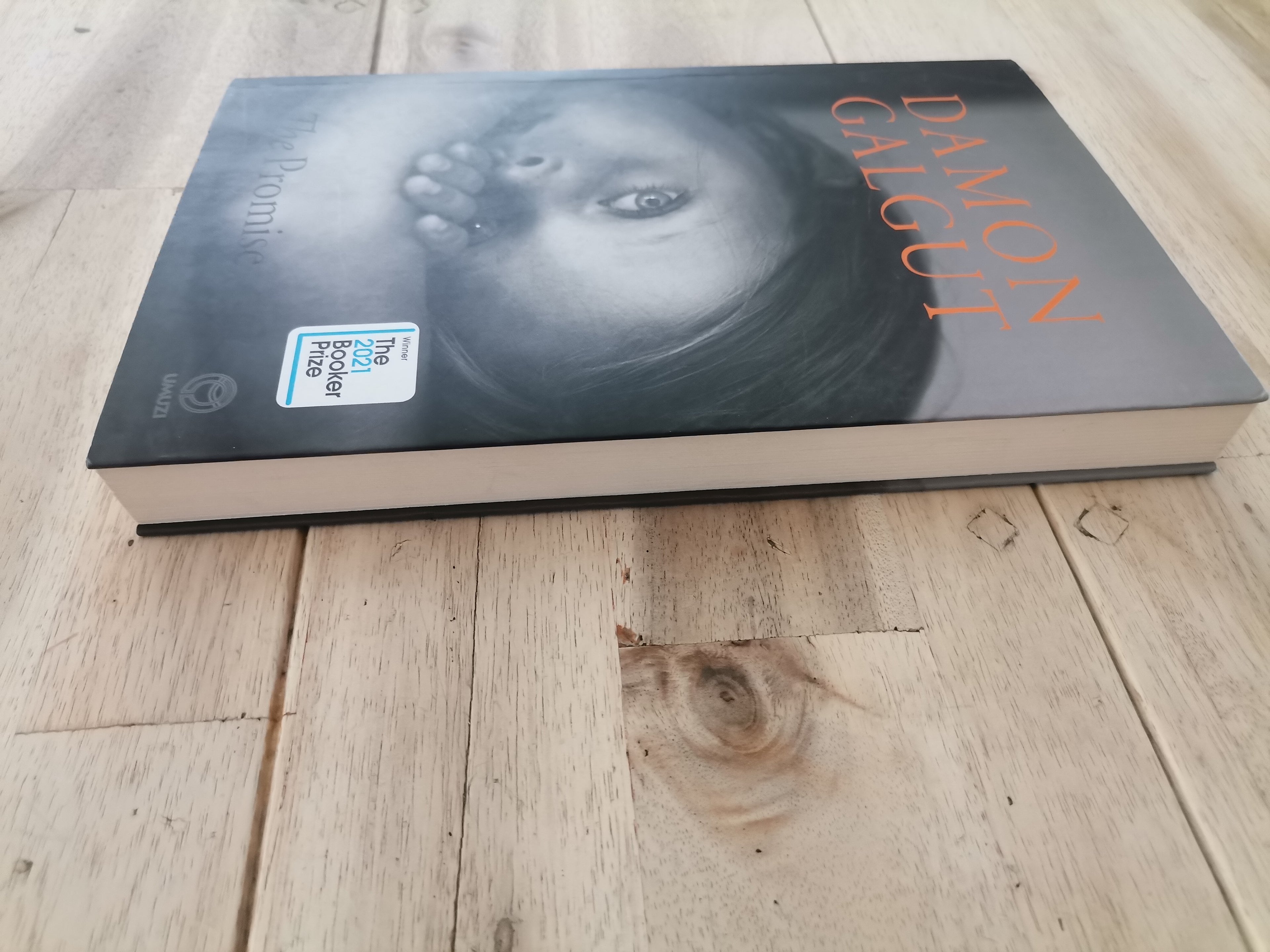 The Promise – Damon Galgut