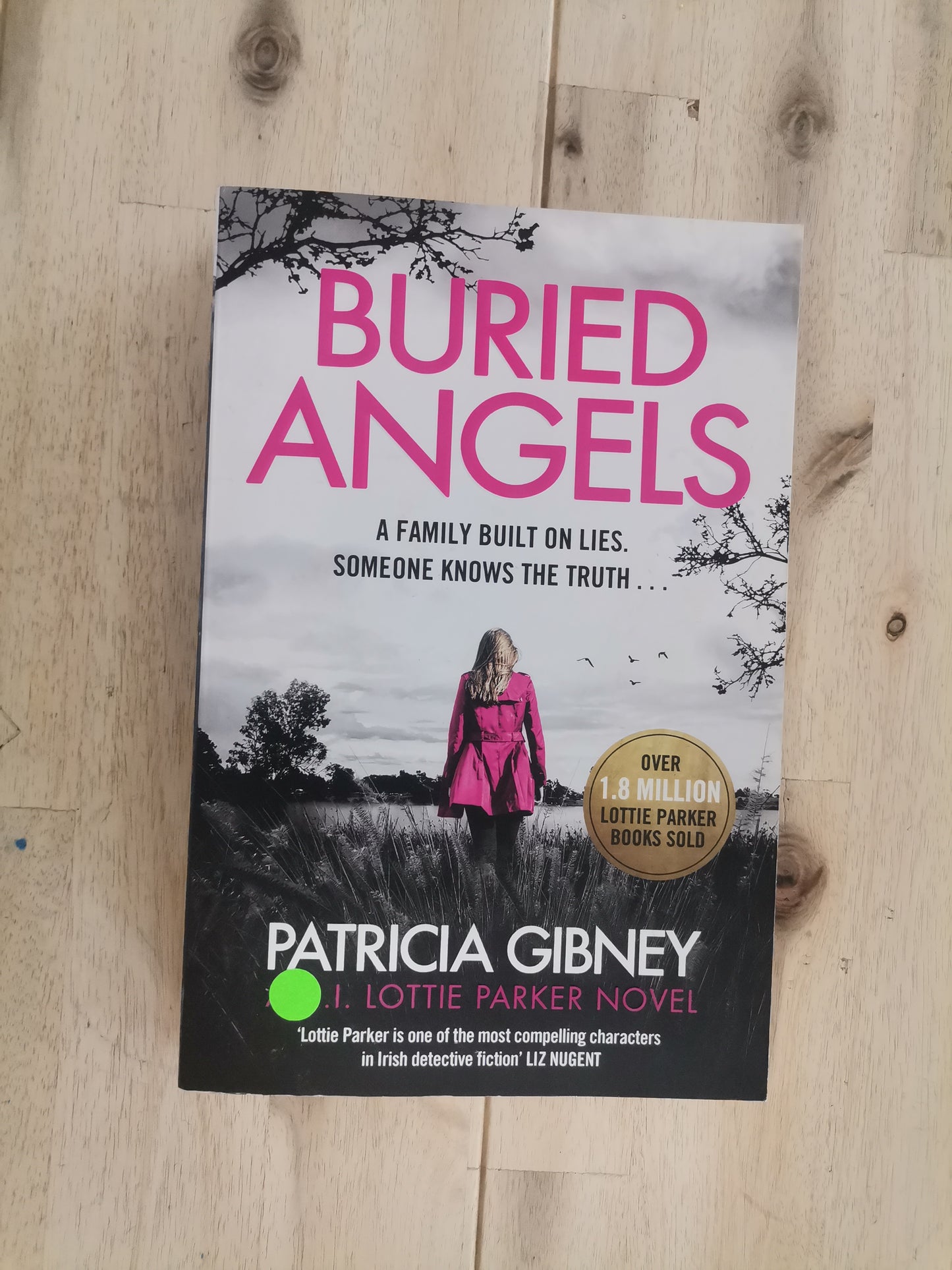 Buried Angels – Patricia Gibney