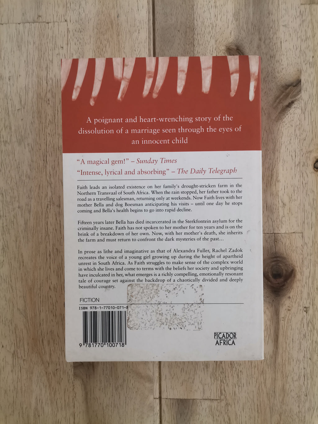 Gem Squash Tokoloshe – Rachel Zadok