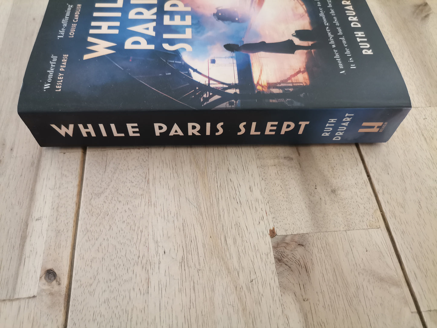 While Paris Slept by Ruth Druart