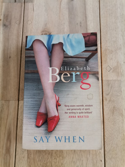 Say When by Elizabeth Berg