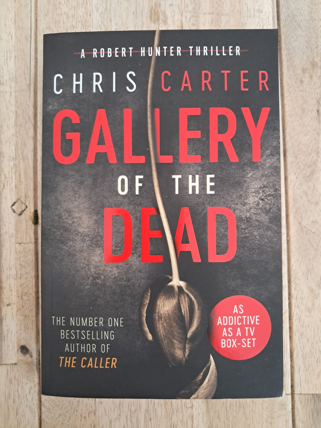 Gallery of the Dead (Robert Hunter #9) – Chris Carter