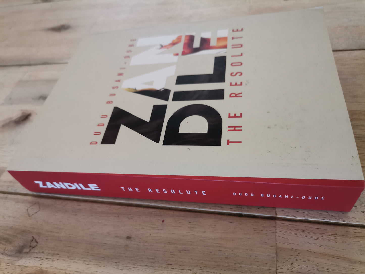 Zandile The Resolute by Dudu Busani-Dube