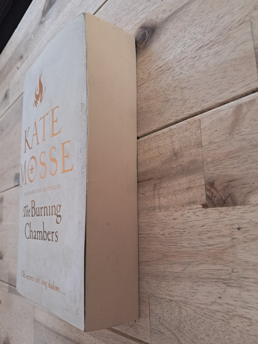 The Burning Chambers (The Joubert Family Chronicles #1) – Kate Mosse