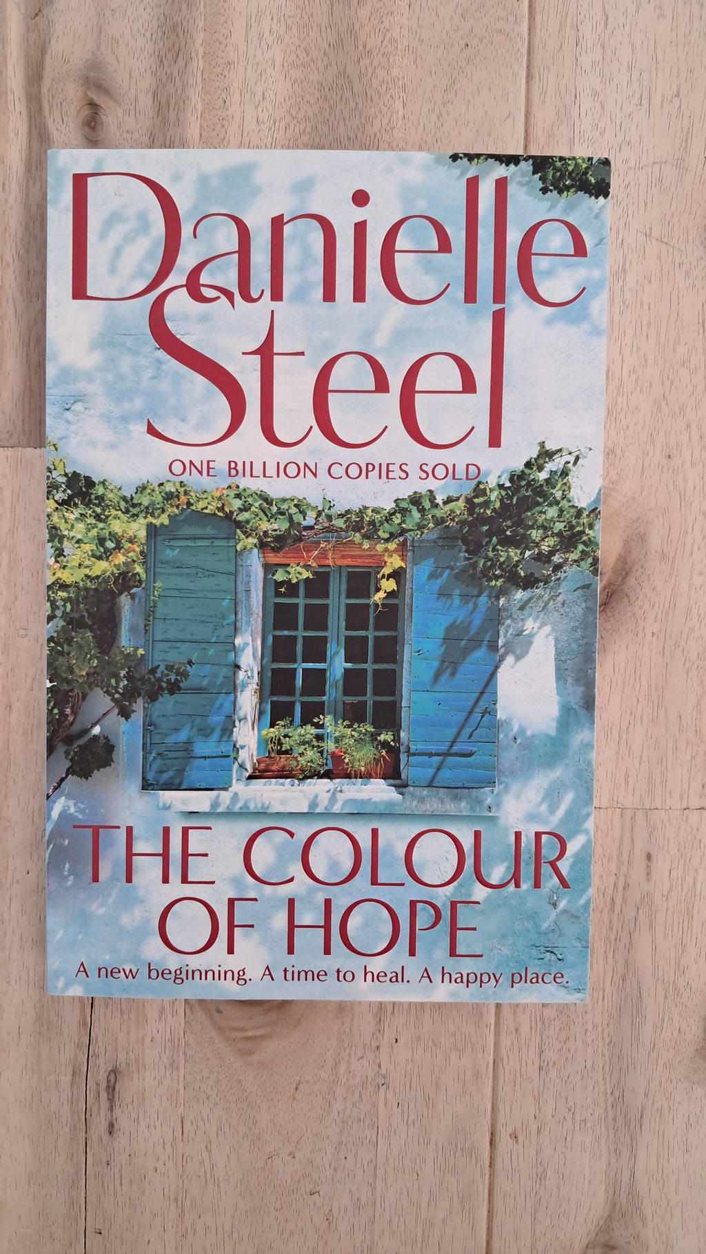 The Colour of Hope – Danielle Steel