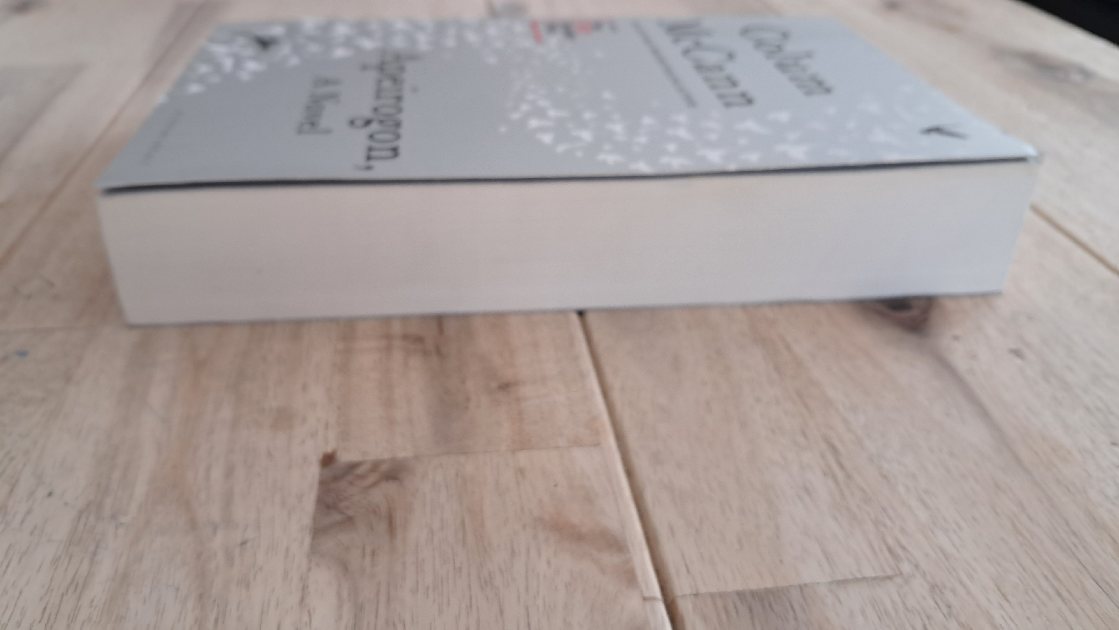 Apeirogon – Colum McCann