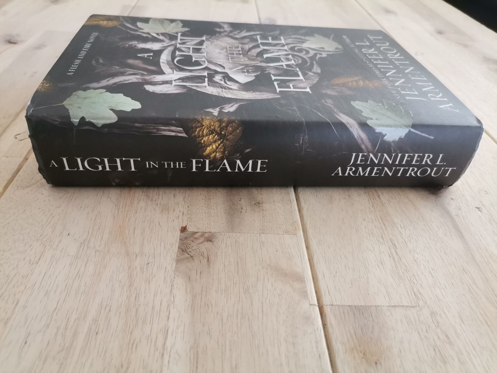 A Light in the Flame – Jennifer L. Armentrout