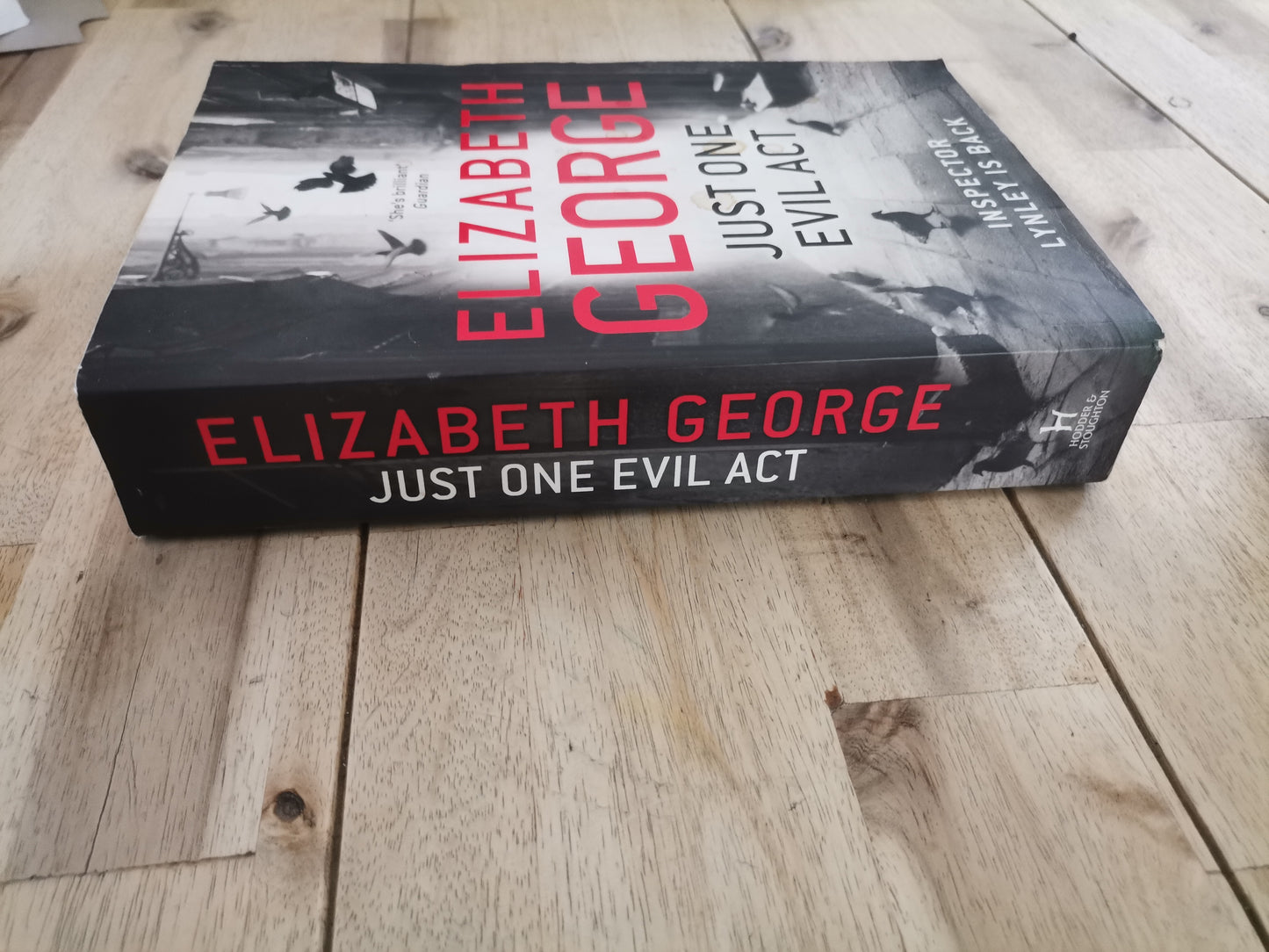 Just One Evil Act – Elizabeth George