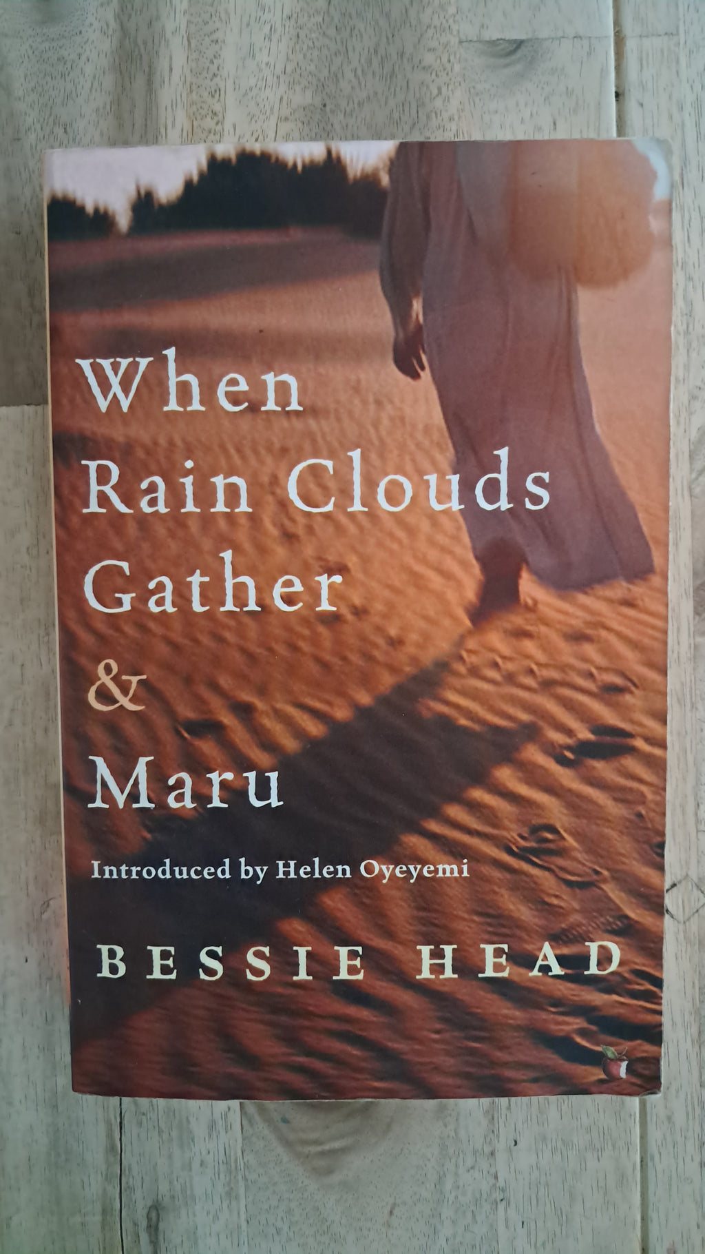 When Rain Clouds Gather & Maru – Bessie Head