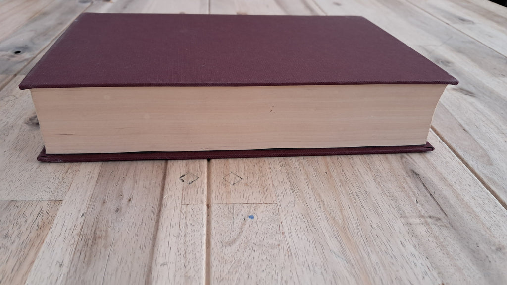 Duma Key – Stephen King
