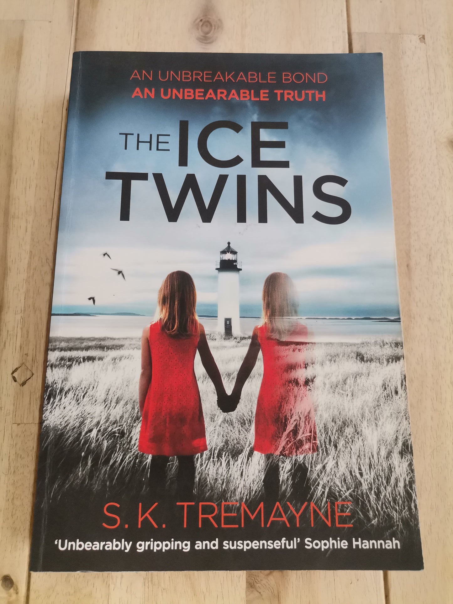 The Ice Twins by S.K. Tremayne