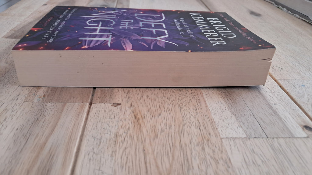 Defy the Night – Brigid Kemmerer