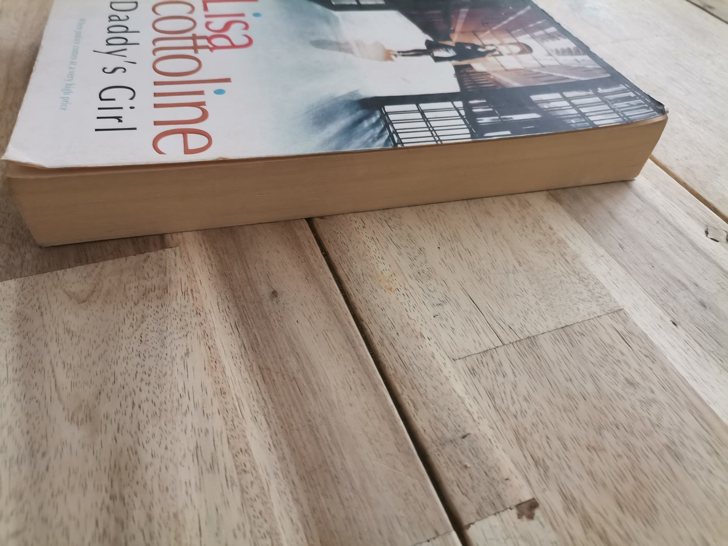 Daddy's Girl by Lisa Scottoline