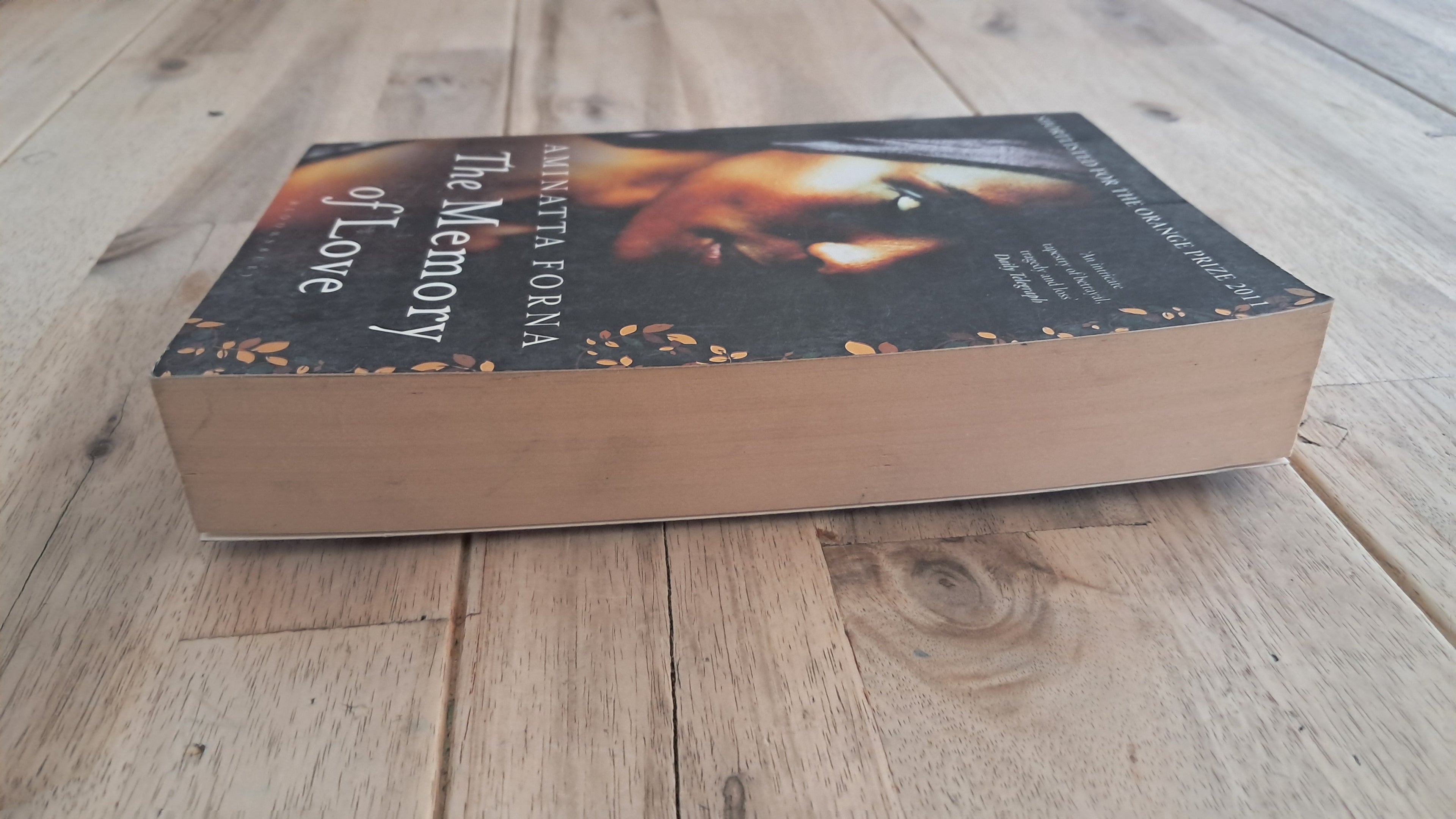 The Memory of Love – Aminatta Forna