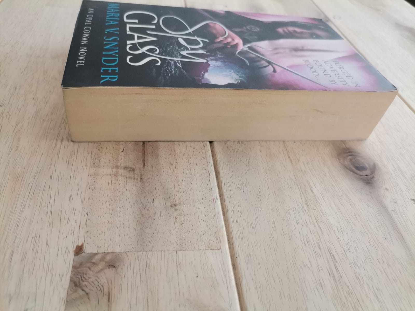 Spy Glass – Maria V. Snyder