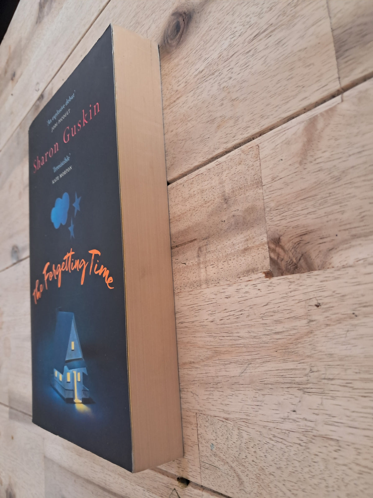 The Forgetting Time – Sharon Guskin