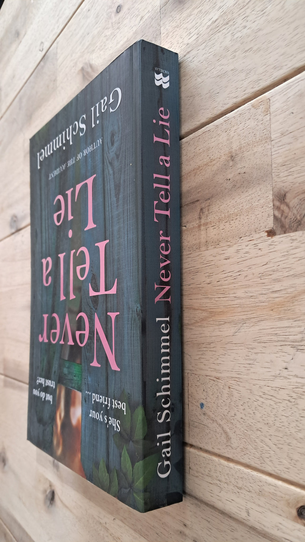 Never Tell a Lie – Gail Schimmel