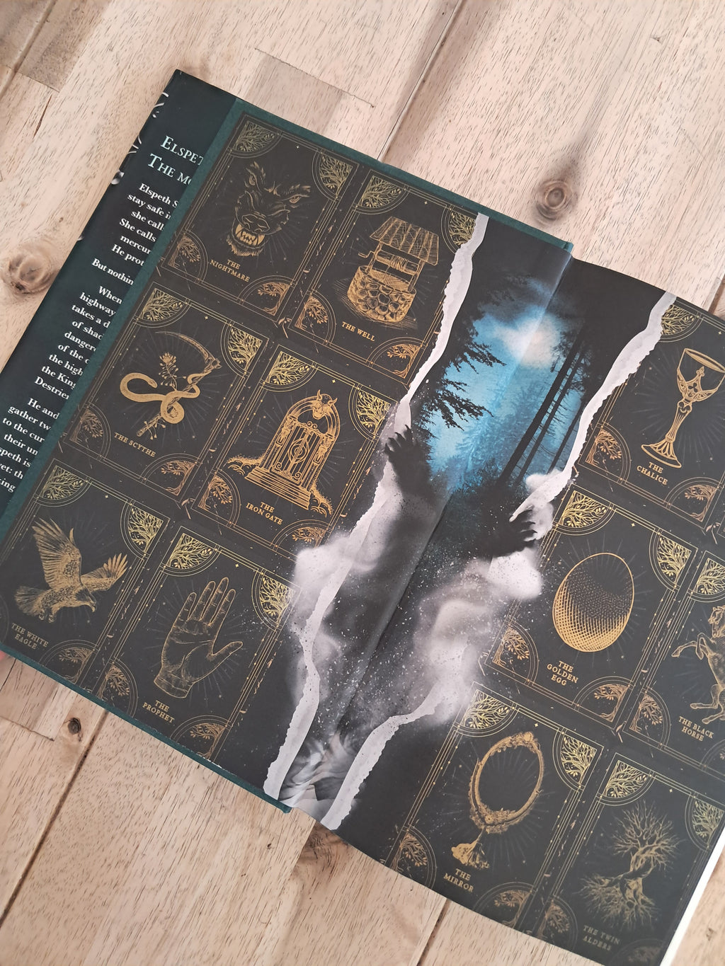 One Dark Window Deluxe Limited Edition – Rachel Gillig