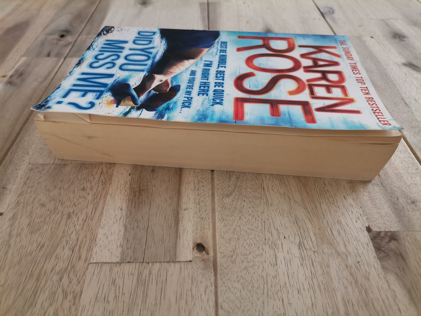 Did You Miss Me? – Karen Rose